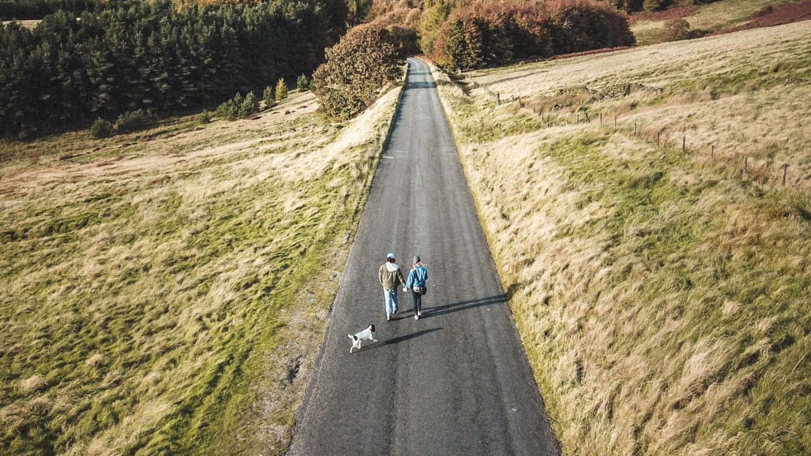 Man, woman, and dog walking on a road outside Seattle.