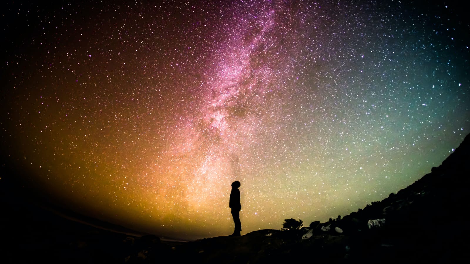 Person looking up at the stars thinking about panic attacks vs. anxiety attacks and considering therapy in Seattle.